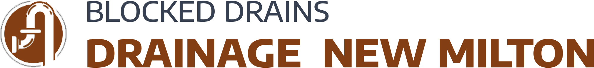 website logo